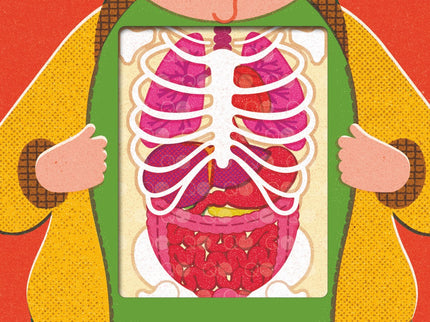 El Cuerpo Humano
