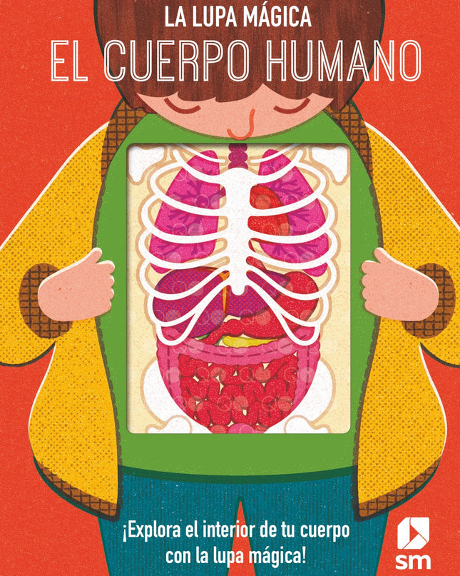 El Cuerpo Humano