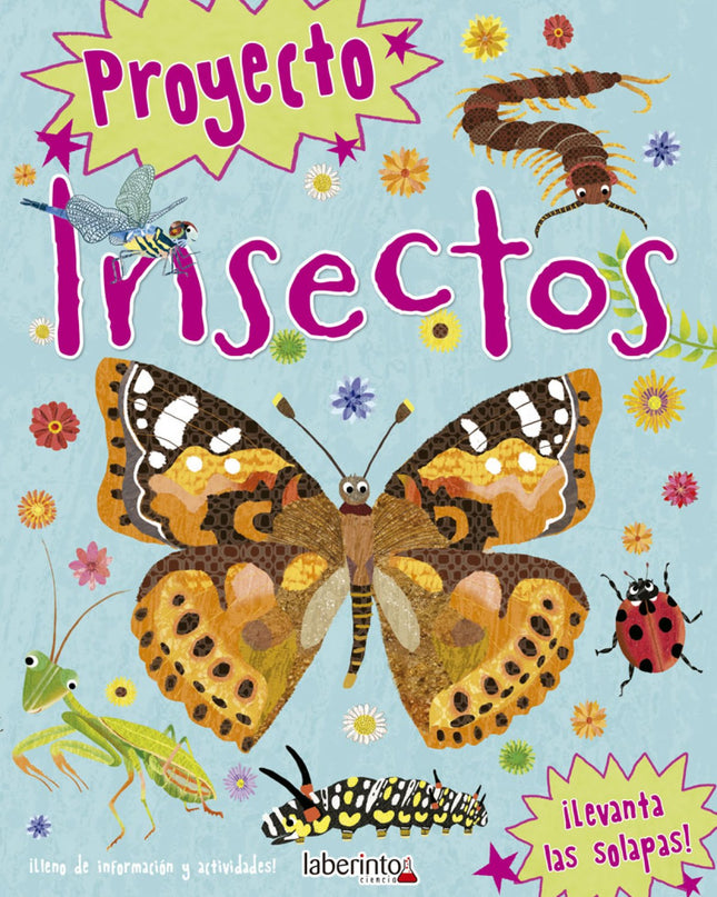 Insecto