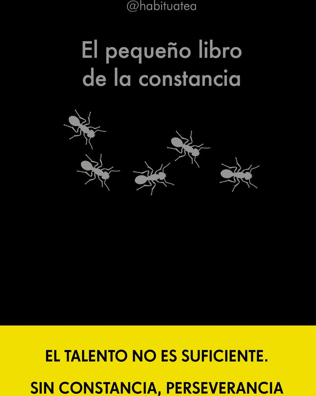 El Pequeño Libro De La Constancia