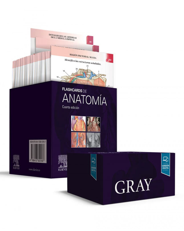 Gray. Flashcards De Anatomía
