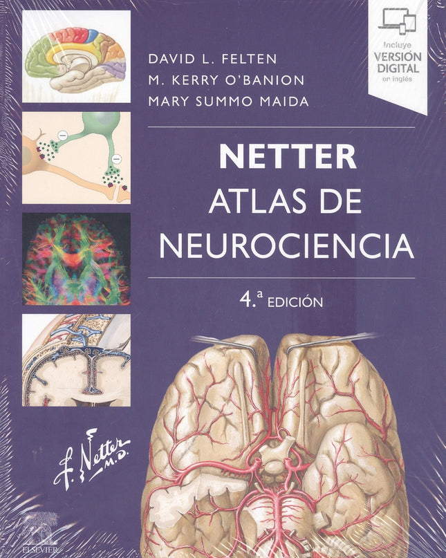 Netter. Atlas De Neurociencia (4ª Ed.)