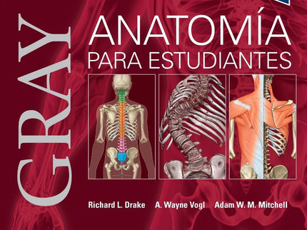 Gray Anatomia Para Estudiantes 5ª Ed