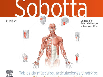 Sobotta Tablas De Musculos Articulaciones Y Nervios 4ª Ed