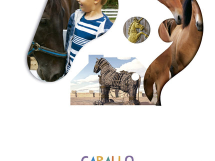 Caballo 4 Años 2019