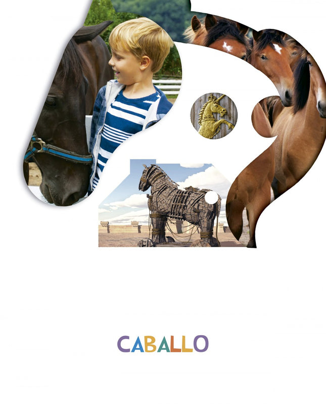 Caballo 4 Años 2019