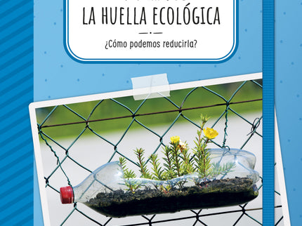 Cambio Climático 5 Alis Proyecto Click 2021