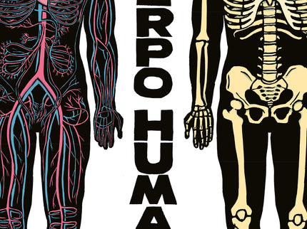 El Cuerpo Humano