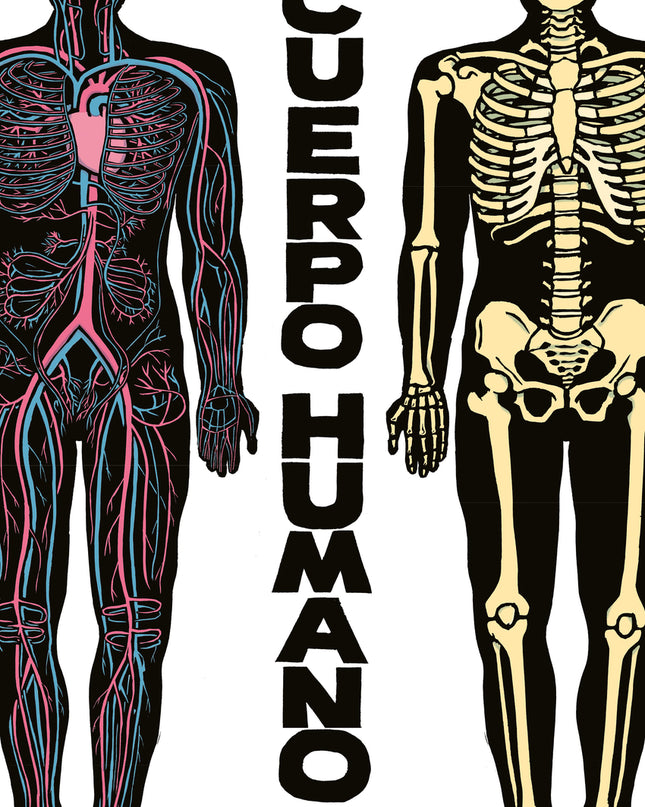 El Cuerpo Humano