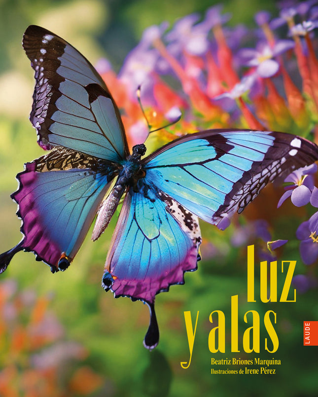 Luz Y Alas