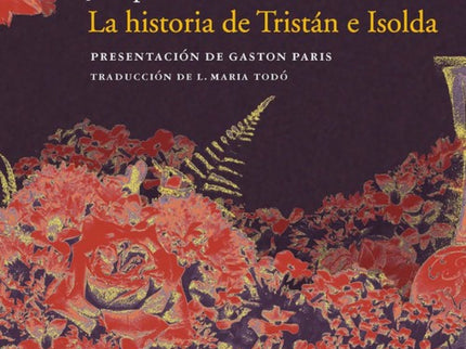 Historia De Tristán E Isolda