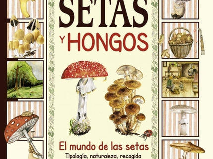 Setas Y Hongos