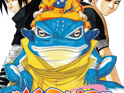 Naruto 13