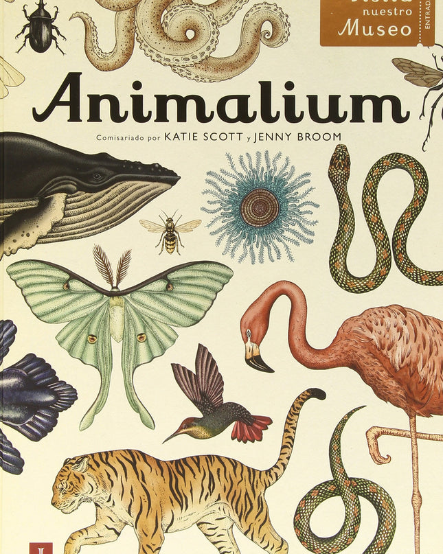 Animalium.