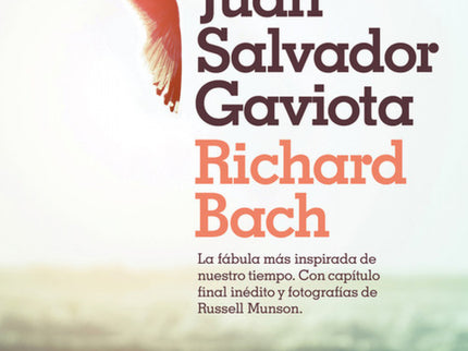 Juan Salvador Gaviota