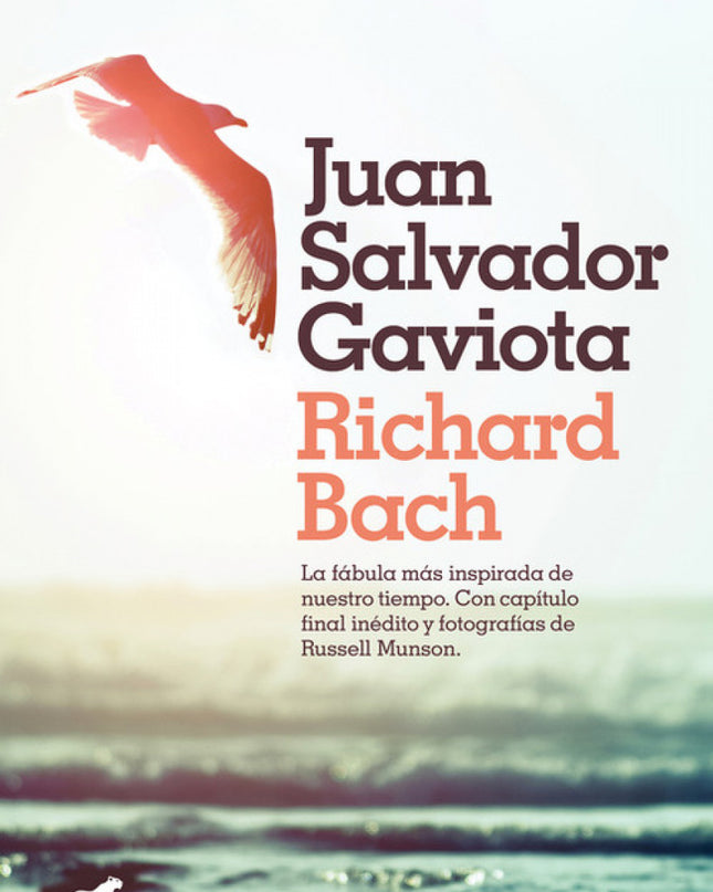Juan Salvador Gaviota