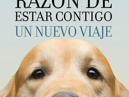 Tu Mejor Amigo
