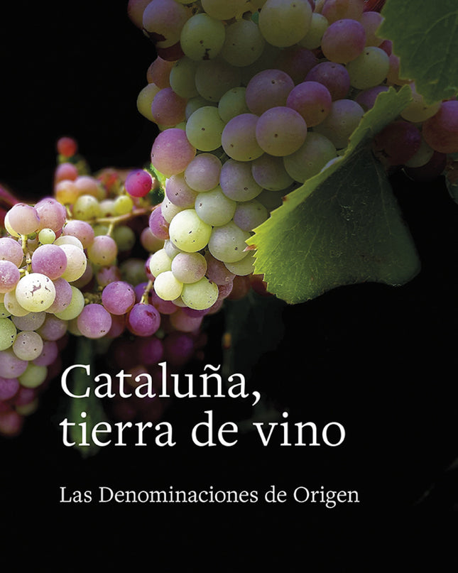 Cataluña, Tierra De Vino