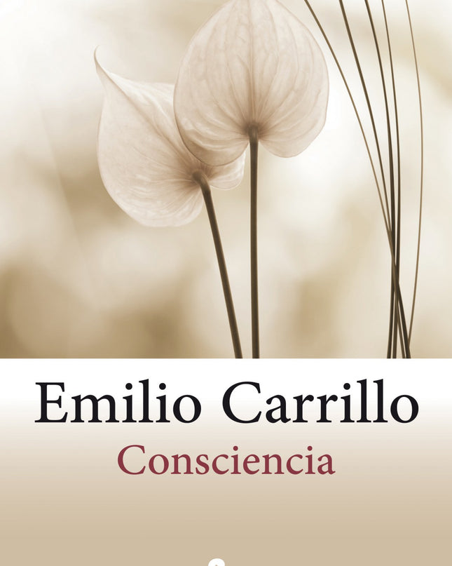 Consciencia