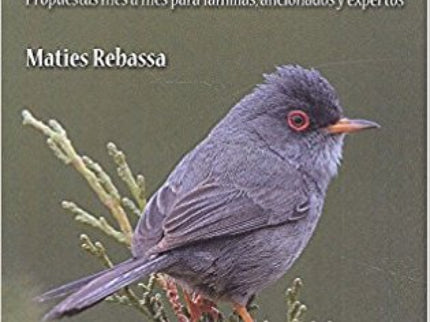 Cuándo Y Dónde Ver Aves En Baleares