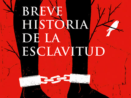 Breve Historia De La Esclavitud