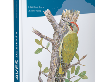 Aves De España -4ª Edicion