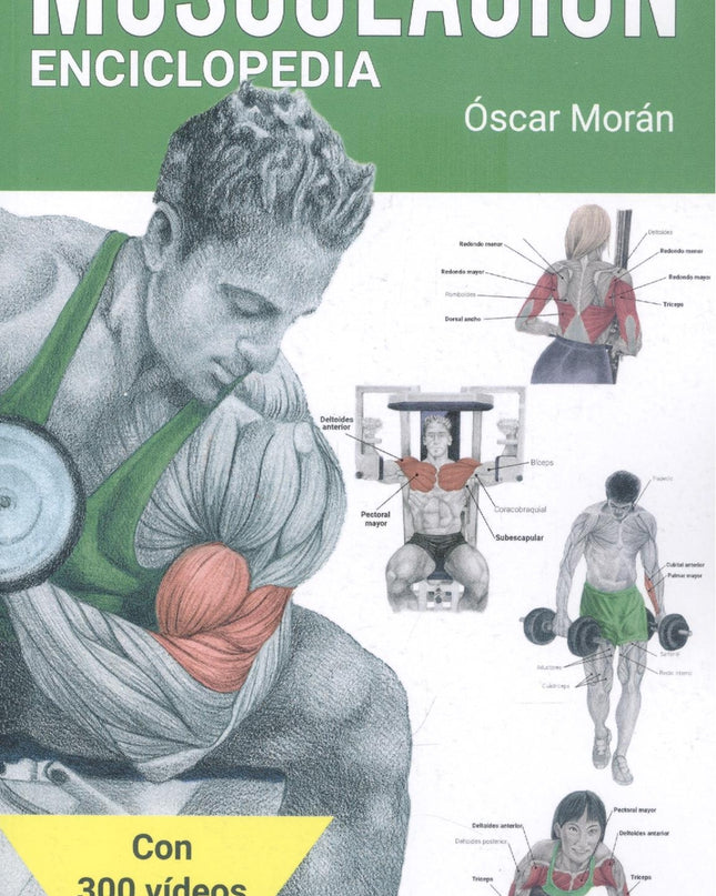 Musculación