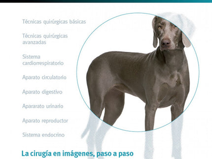 Cirugia En La Clinica Pequeños Animales