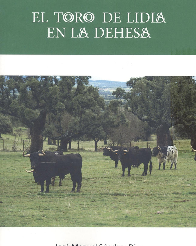 El Toro De Lidia En La Dehesa