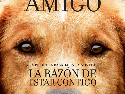 La Razón De Estar Contigo