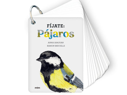 Fíjate: Pájaros