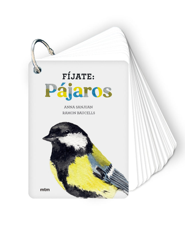 Fíjate: Pájaros