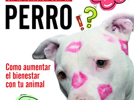 Siete Errores En La Relación Con Tu Perro