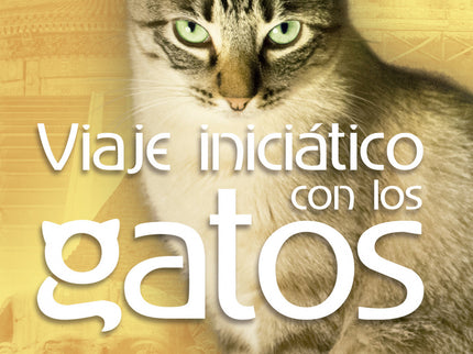 Viaje Iniciático Con Los Gatos