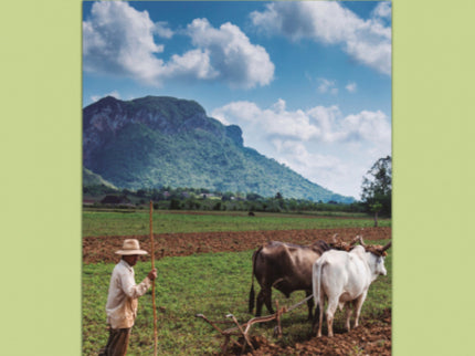 Cuba, Isla De Corazones Rotos