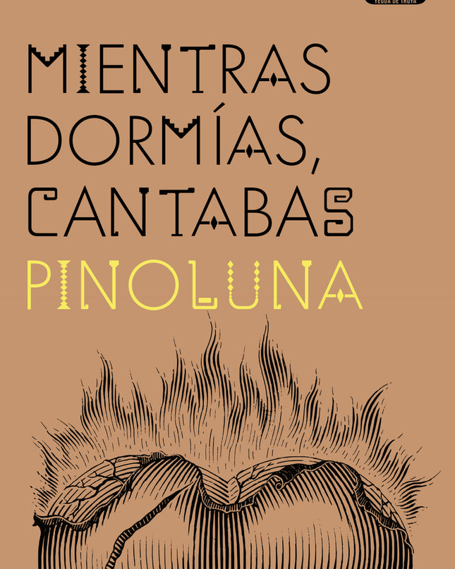 Mientras Dormías, Cantabas