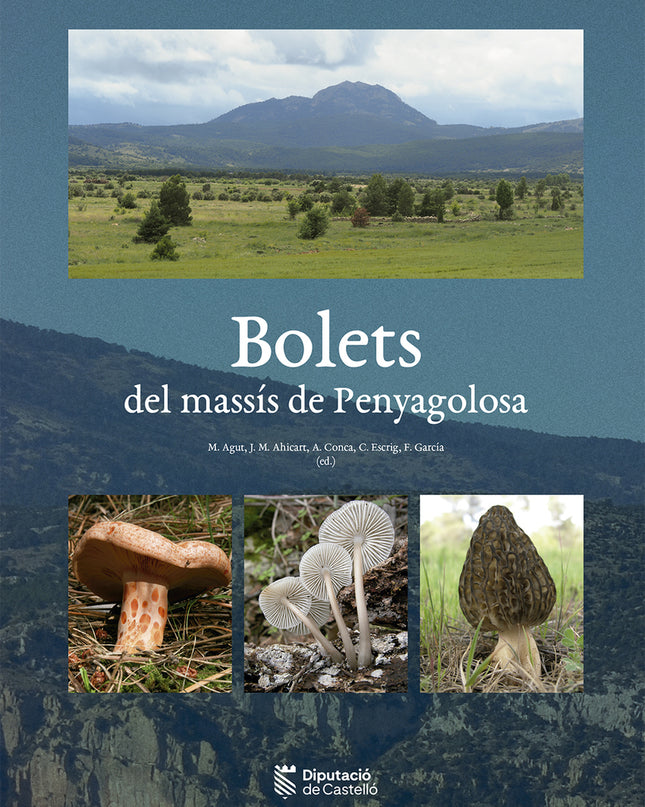 (val).bolets Del Massis De Penyagoloso