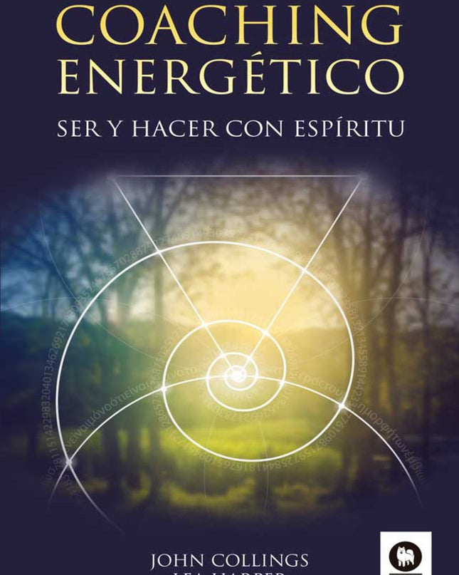 Coaching Energético