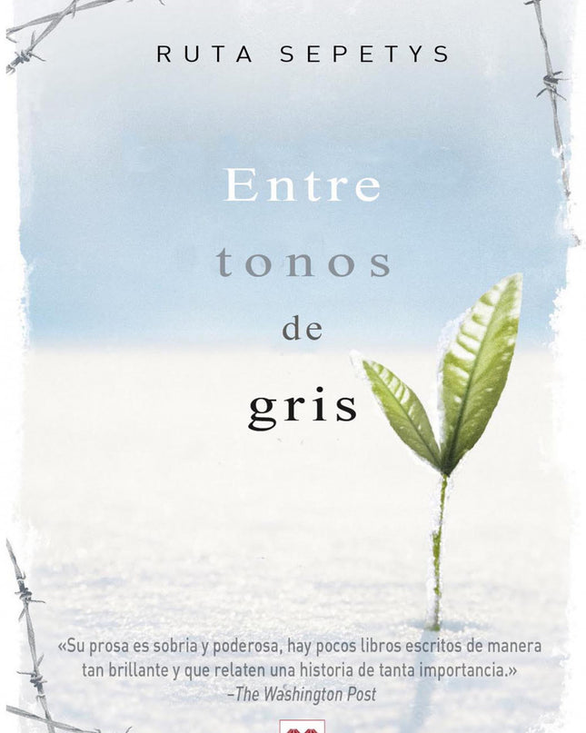 Entre Tonos De Gris