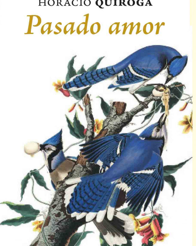 Pasado Amor
