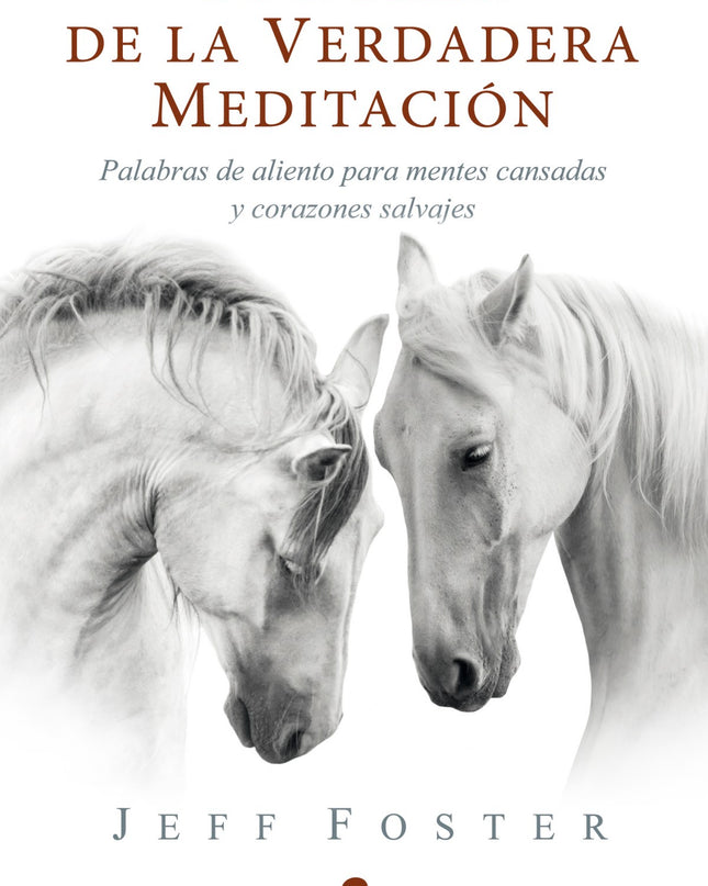La Dicha De La Verdadera Meditación