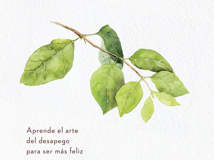 Déjalo Ir