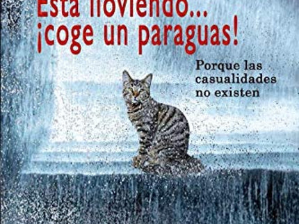 Está Lloviendo? ¡coge Un Paraguas!