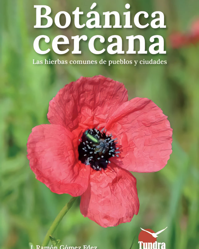Botanica Cercana. Las Hierbas Comunes De Los Pueblos Y Ciudades