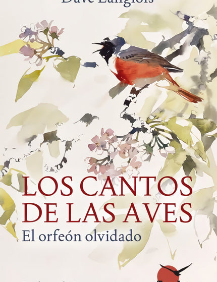 Collection image for: Aves, incluidas las aves de jaula, como mascotas