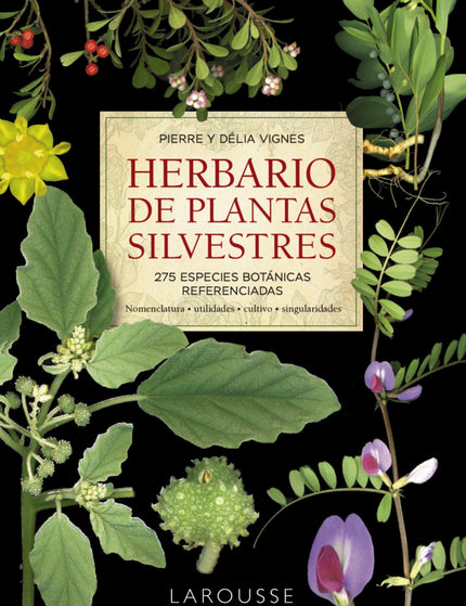 Collection image for: Fisiología vegetal