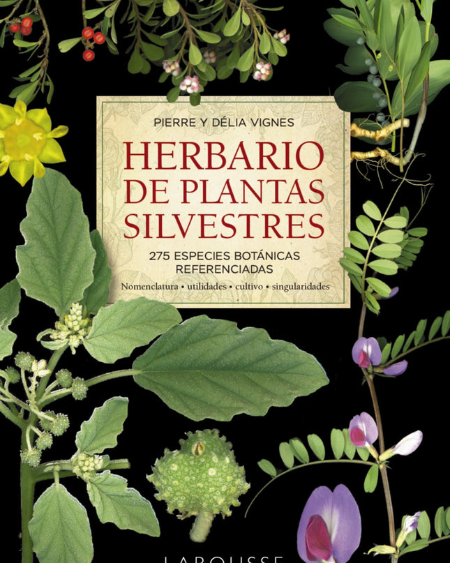 Herbario De Plantas Silvestres
