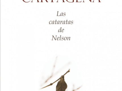 Las Cataratas De Nelson