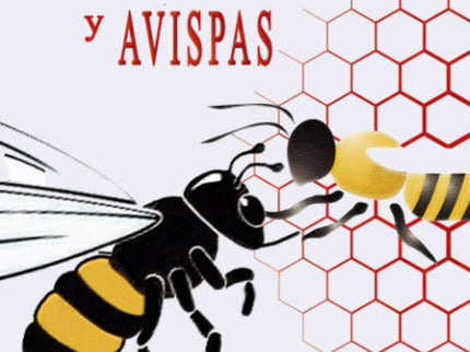 Abejas Y Avispas