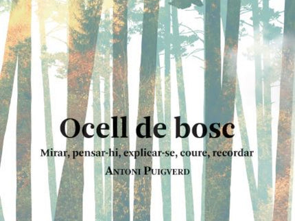 Ocell De Bosc